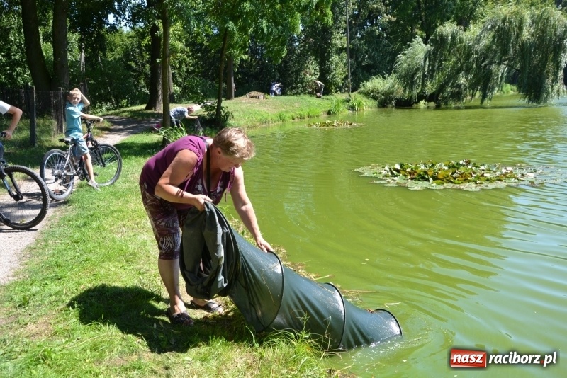 Zdjęcie w galerii na portalu naszraciborz.pl: Kazimierz Cieślak najlepszym wędkarzem wśród emerytów i rencistów podczas zawodów w Tworkowie wiadomości z regionu