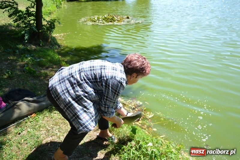 Zdjęcie w galerii na portalu naszraciborz.pl: Kazimierz Cieślak najlepszym wędkarzem wśród emerytów i rencistów podczas zawodów w Tworkowie wiadomości z regionu