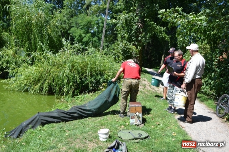 Zdjęcie w galerii na portalu naszraciborz.pl: Kazimierz Cieślak najlepszym wędkarzem wśród emerytów i rencistów podczas zawodów w Tworkowie wiadomości z regionu
