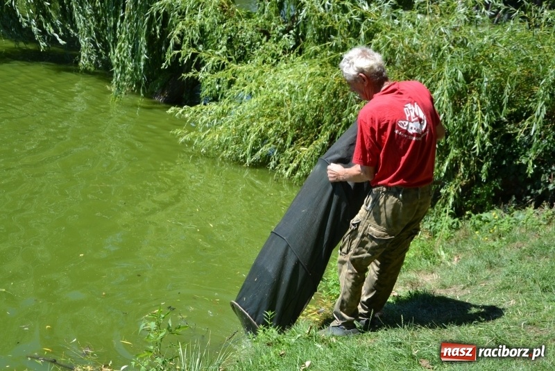 Zdjęcie w galerii na portalu naszraciborz.pl: Kazimierz Cieślak najlepszym wędkarzem wśród emerytów i rencistów podczas zawodów w Tworkowie wiadomości z regionu