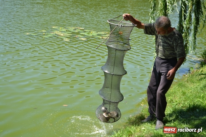 Zdjęcie w galerii na portalu naszraciborz.pl: Kazimierz Cieślak najlepszym wędkarzem wśród emerytów i rencistów podczas zawodów w Tworkowie wiadomości z regionu