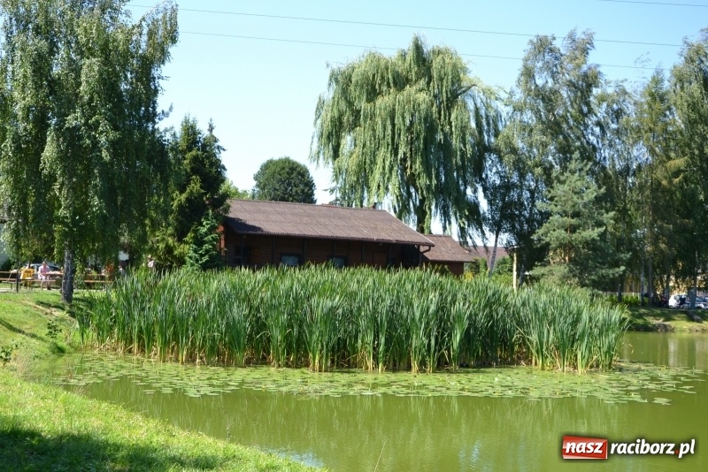 Zdjęcie w galerii na portalu naszraciborz.pl: Kazimierz Cieślak najlepszym wędkarzem wśród emerytów i rencistów podczas zawodów w Tworkowie wiadomości z regionu