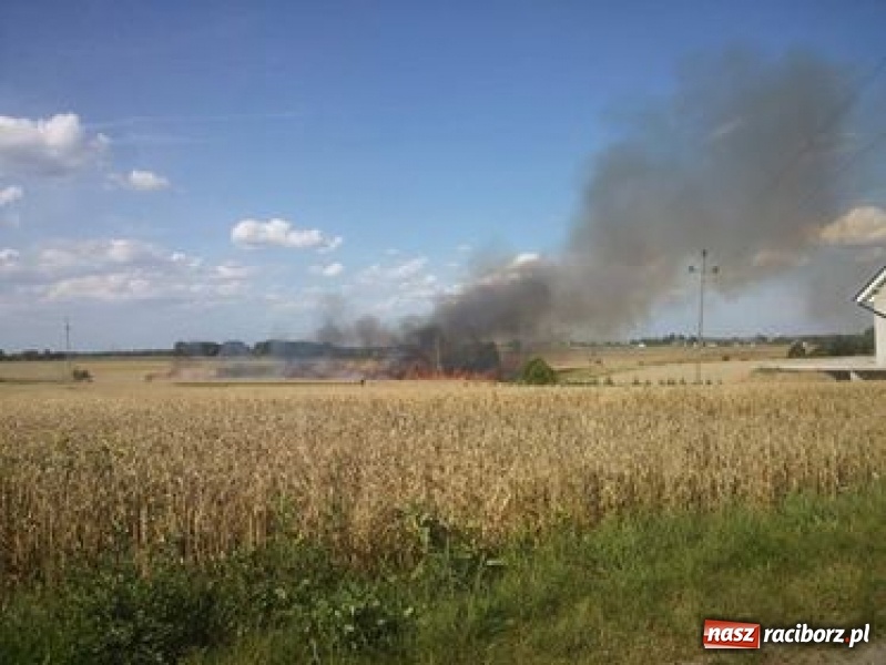 Zdjęcie w galerii na portalu naszraciborz.pl: Poniedziałek strażaków - dwa pożary na polach w Kornowacu i Kornicach wiadomości z regionu