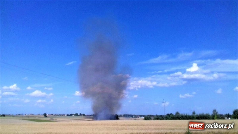 Zdjęcie w galerii na portalu naszraciborz.pl: Poniedziałek strażaków - dwa pożary na polach w Kornowacu i Kornicach wiadomości z regionu