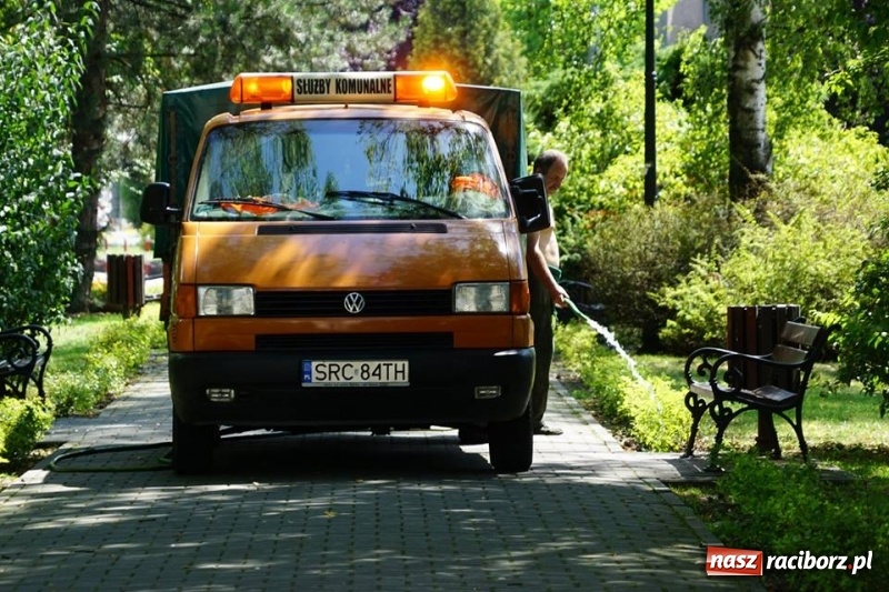 Zdjęcie w galerii na portalu naszraciborz.pl: W upały ochłoda także dla roślin - miasto dba o drzewa, krzewy i kwietniki wiadomości z regionu