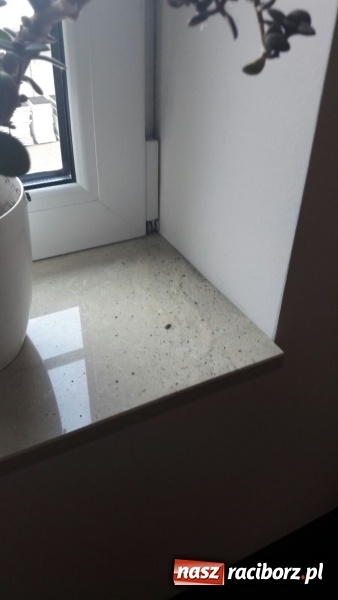 Zdjęcie w galerii na portalu naszraciborz.pl: Problem mieszkańców Kolejowej nie zniknął - ich mieszkania nadal toną w pyle  wiadomości z regionu