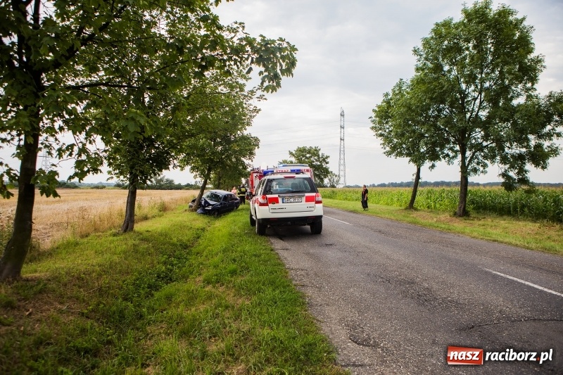 Zdjęcie w galerii na portalu naszraciborz.pl: Renault thalia uderzyło w drzewo na trasie do Zawady Książęcej wiadomości z regionu