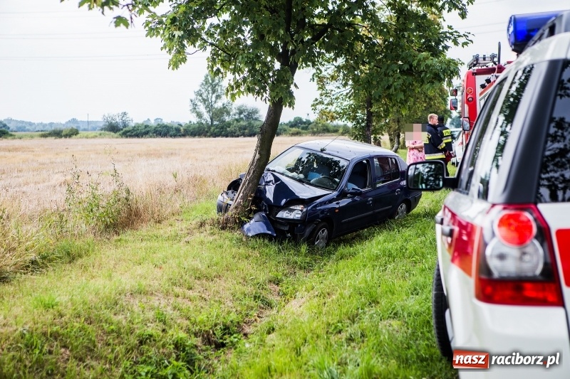 Zdjęcie w galerii na portalu naszraciborz.pl: Renault thalia uderzyło w drzewo na trasie do Zawady Książęcej wiadomości z regionu