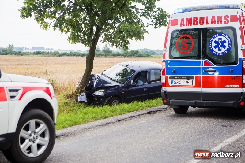Zdjęcie w galerii na portalu naszraciborz.pl: Renault thalia uderzyło w drzewo na trasie do Zawady Książęcej wiadomości z regionu