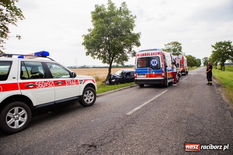 Zdjęcie w galerii na portalu naszraciborz.pl: Renault thalia uderzyło w drzewo na trasie do Zawady Książęcej wiadomości z regionu