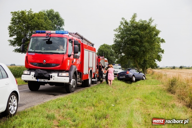 Zdjęcie w galerii na portalu naszraciborz.pl: Renault thalia uderzyło w drzewo na trasie do Zawady Książęcej wiadomości z regionu