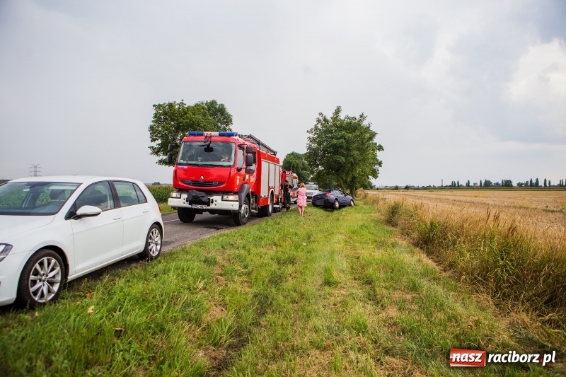 Zdjęcie w galerii na portalu naszraciborz.pl: Renault thalia uderzyło w drzewo na trasie do Zawady Książęcej wiadomości z regionu