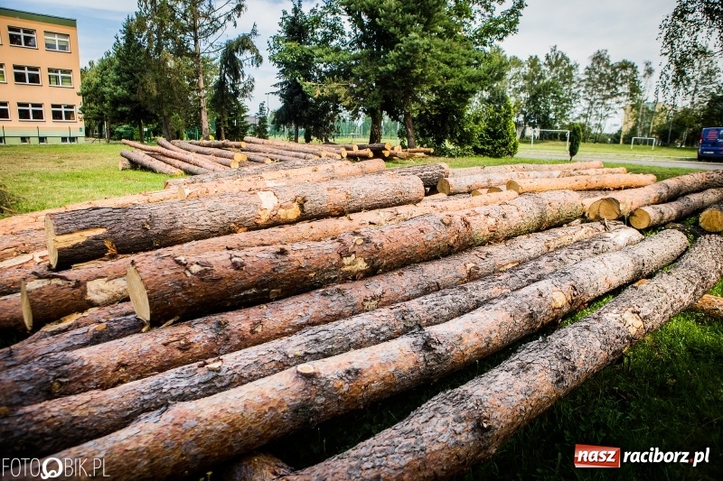 Zdjęcie w galerii na portalu naszraciborz.pl: Las 3,5 tygodnia po huraganie - trwają prace porządkowe z udziałem kilkudziesięciu osób wiadomości z regionu