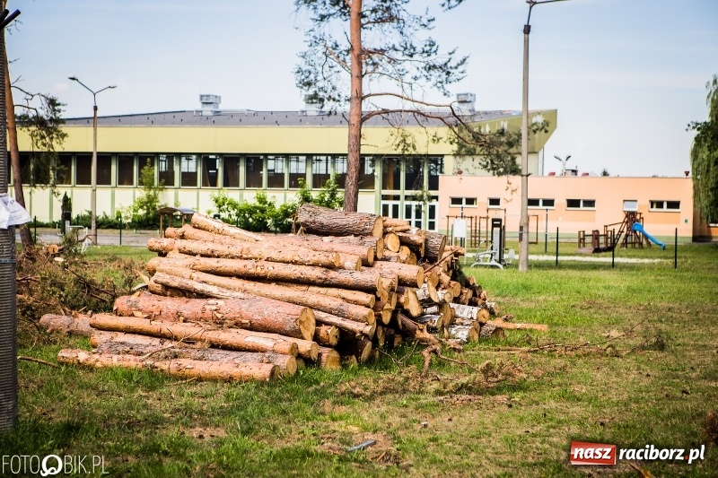 Zdjęcie w galerii na portalu naszraciborz.pl: Las 3,5 tygodnia po huraganie - trwają prace porządkowe z udziałem kilkudziesięciu osób wiadomości z regionu