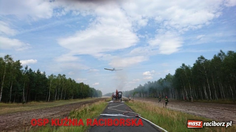 Zdjęcie w galerii na portalu naszraciborz.pl: Samolot i strażacy skierowani do akcji gaszenia koparki w lesie w Kuźni Raciborskiej  wiadomości z regionu