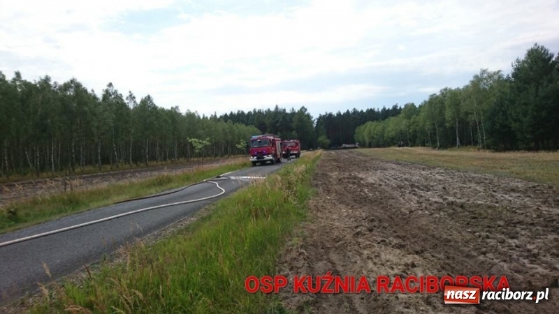 Zdjęcie w galerii na portalu naszraciborz.pl: Samolot i strażacy skierowani do akcji gaszenia koparki w lesie w Kuźni Raciborskiej  wiadomości z regionu