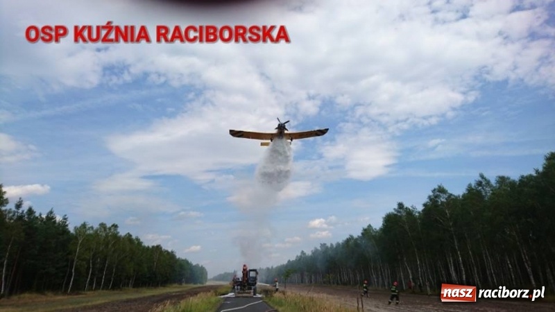 Zdjęcie w galerii na portalu naszraciborz.pl: Samolot i strażacy skierowani do akcji gaszenia koparki w lesie w Kuźni Raciborskiej  wiadomości z regionu