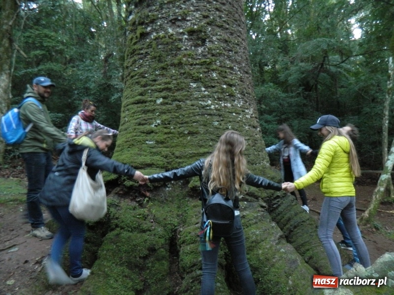 Zdjęcie w galerii na portalu naszraciborz.pl: Zespół Raciborzanie na Festiwalu w Brazylii wiadomości z regionu