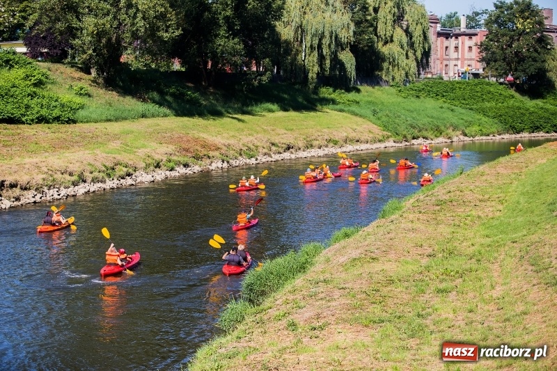 Zdjęcie w galerii na portalu naszraciborz.pl: W sześć godzin dookoła Raciborza kajakiem wiadomości z regionu