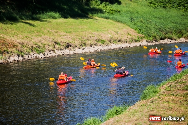 Zdjęcie w galerii na portalu naszraciborz.pl: W sześć godzin dookoła Raciborza kajakiem wiadomości z regionu
