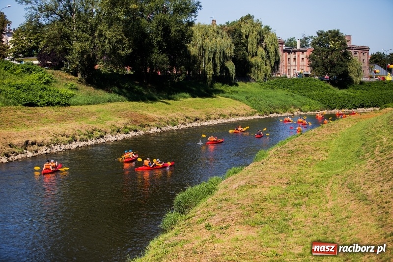 Zdjęcie w galerii na portalu naszraciborz.pl: W sześć godzin dookoła Raciborza kajakiem wiadomości z regionu