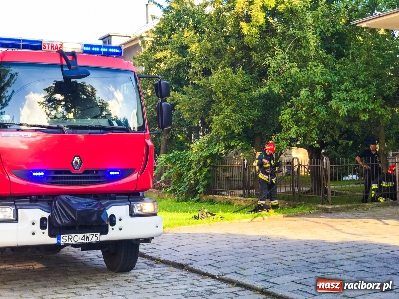 Zdjęcie w galerii na portalu naszraciborz.pl: Pożar na terenie parafii NSPJ w Raciborzu. Ogień zauważono w domu katechetycznym wiadomości z regionu