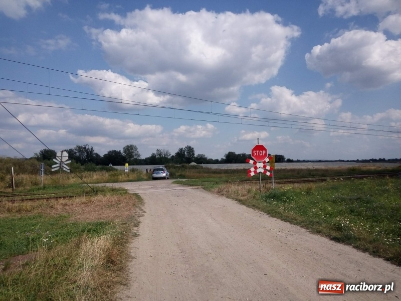 Zdjęcie w galerii na portalu naszraciborz.pl: W Raciborzu-Sudole, tak zwanej Nowej Psince, znaleziono zwłoki mężczyzny wiadomości z regionu