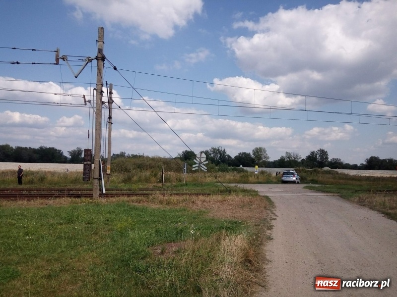 Zdjęcie w galerii na portalu naszraciborz.pl: W Raciborzu-Sudole, tak zwanej Nowej Psince, znaleziono zwłoki mężczyzny wiadomości z regionu