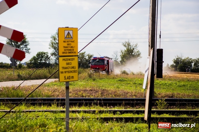 Zdjęcie w galerii na portalu naszraciborz.pl: W Raciborzu-Sudole, tak zwanej Nowej Psince, znaleziono zwłoki mężczyzny wiadomości z regionu