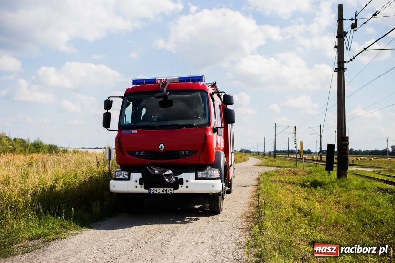 Zdjęcie w galerii na portalu naszraciborz.pl: W Raciborzu-Sudole, tak zwanej Nowej Psince, znaleziono zwłoki mężczyzny wiadomości z regionu
