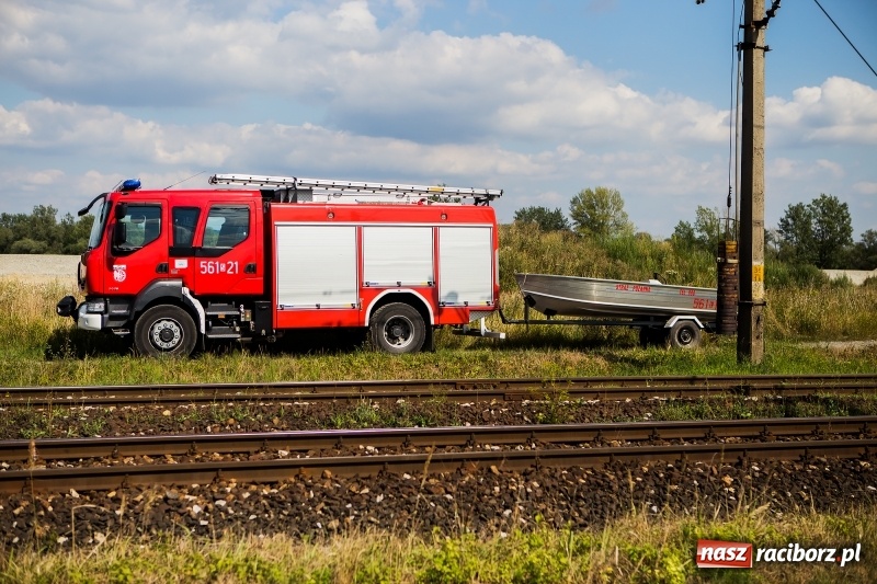 Zdjęcie w galerii na portalu naszraciborz.pl: W Raciborzu-Sudole, tak zwanej Nowej Psince, znaleziono zwłoki mężczyzny wiadomości z regionu