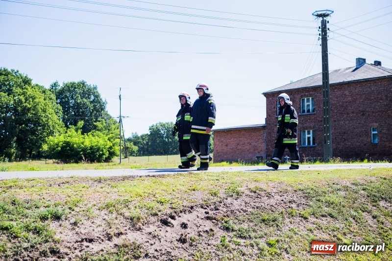 Zdjęcie w galerii na portalu naszraciborz.pl: W Rzuchowie doszło do zderzenia dwóch samochodów. Jedna osoba trafiła do szpitala wiadomości z regionu