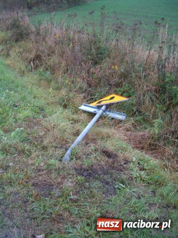 Zdjęcie w galerii na portalu naszraciborz.pl: Komu przeszkadzają znaki drogowe? wiadomości z regionu