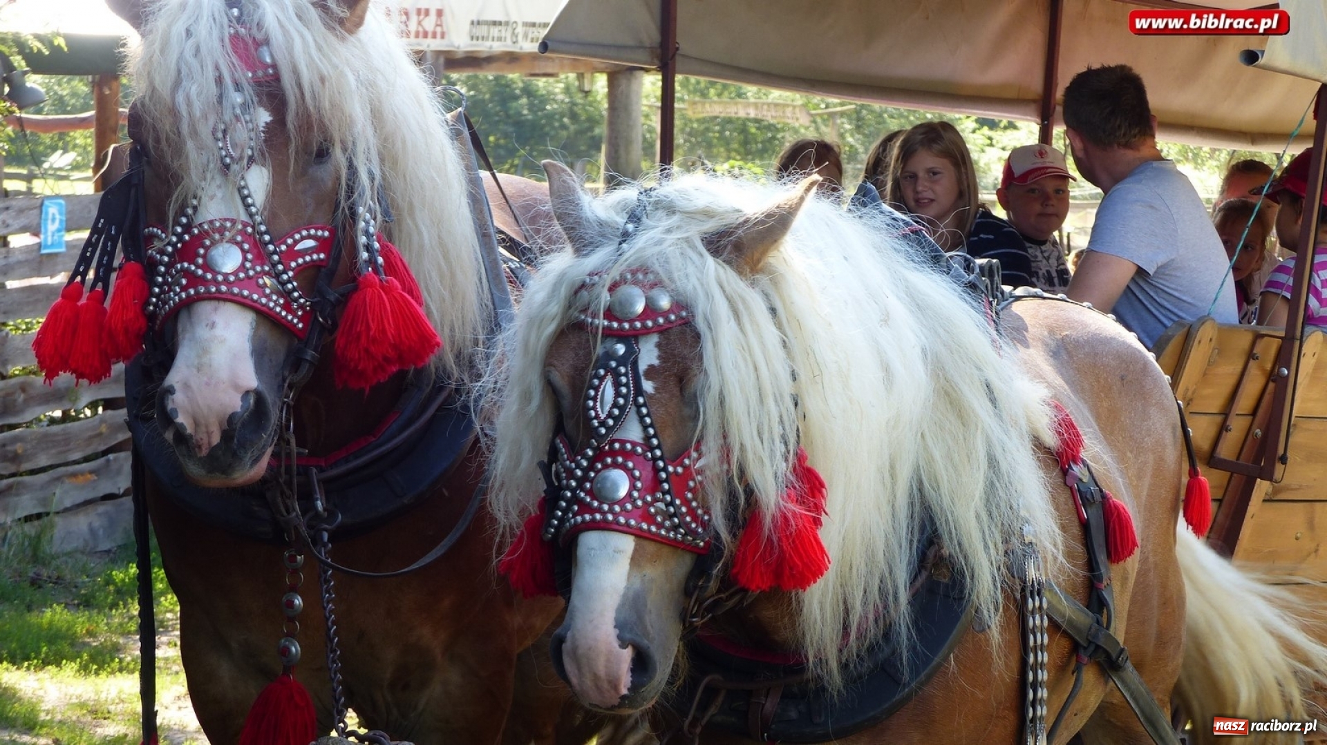 Zdjęcie w galerii na portalu naszraciborz.pl: Uczestnicy Lata z biblioteką na rancho w Bargłówce wiadomości z regionu