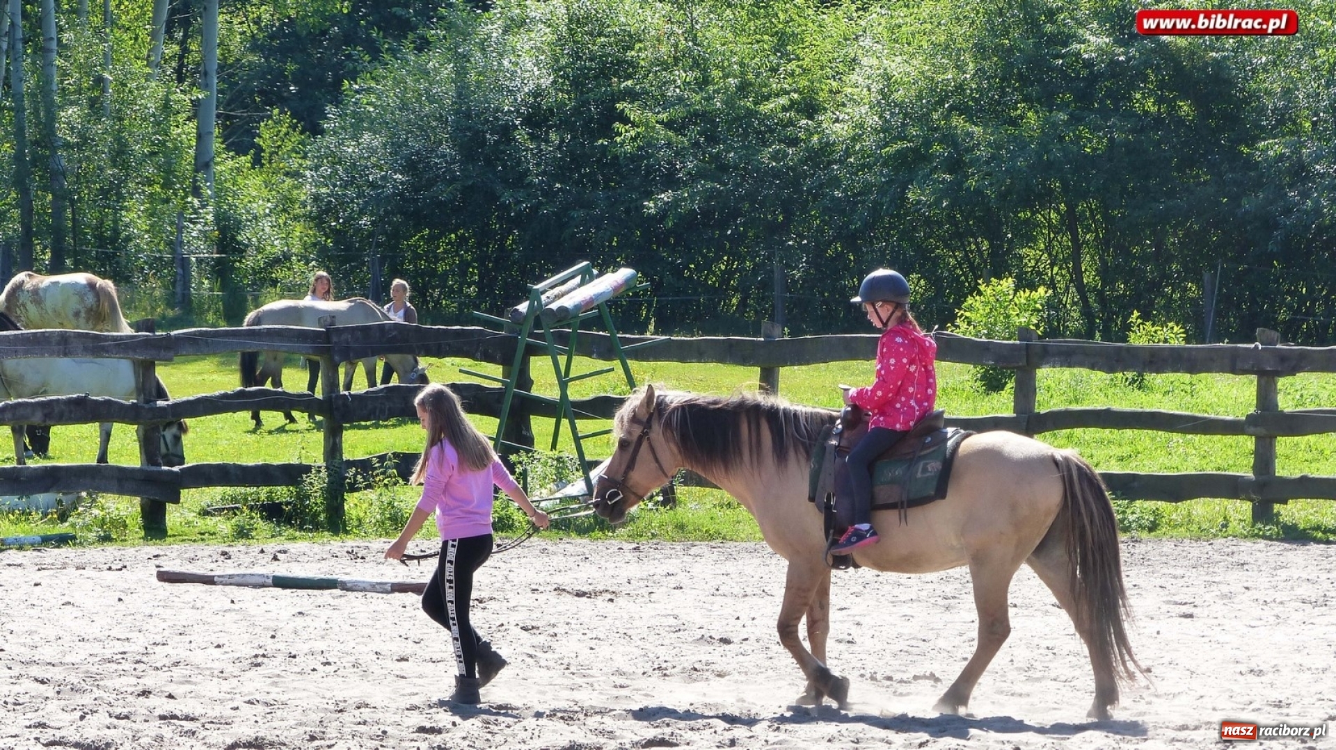 Zdjęcie w galerii na portalu naszraciborz.pl: Uczestnicy Lata z biblioteką na rancho w Bargłówce wiadomości z regionu