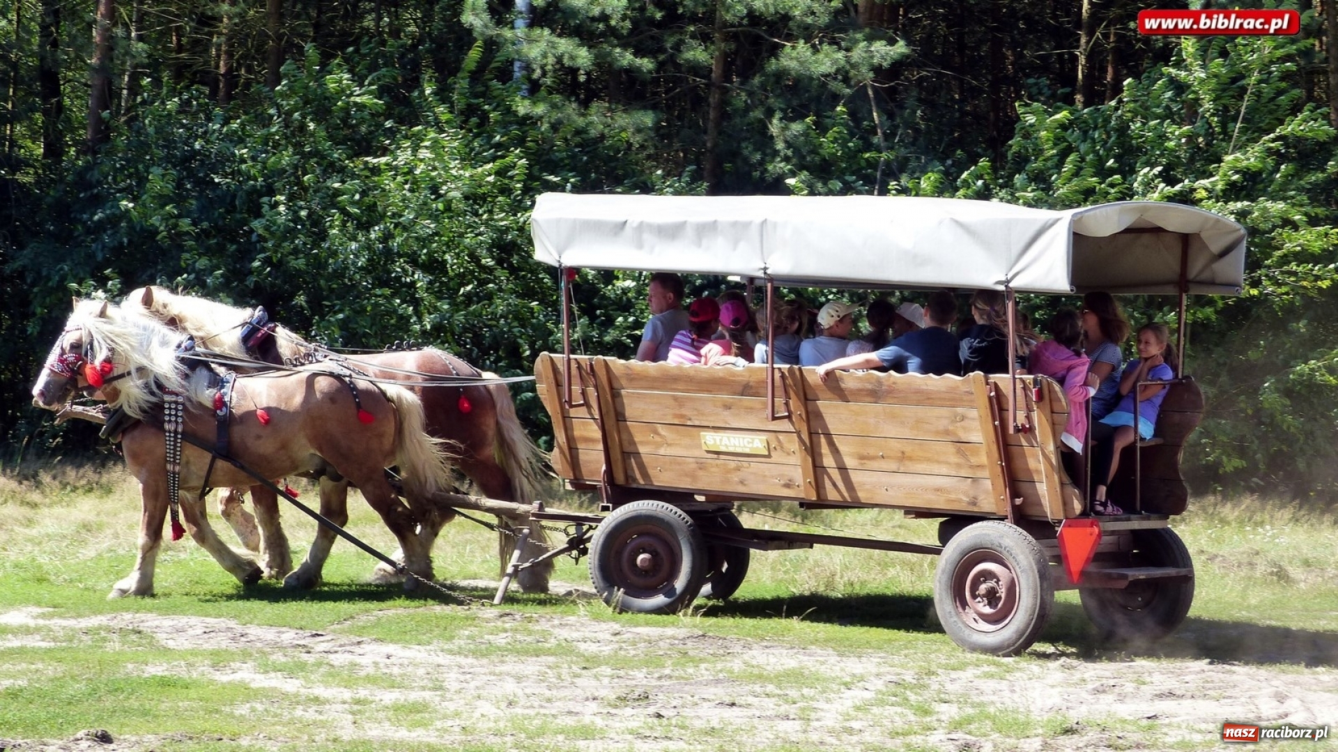 Zdjęcie w galerii na portalu naszraciborz.pl: Uczestnicy Lata z biblioteką na rancho w Bargłówce wiadomości z regionu