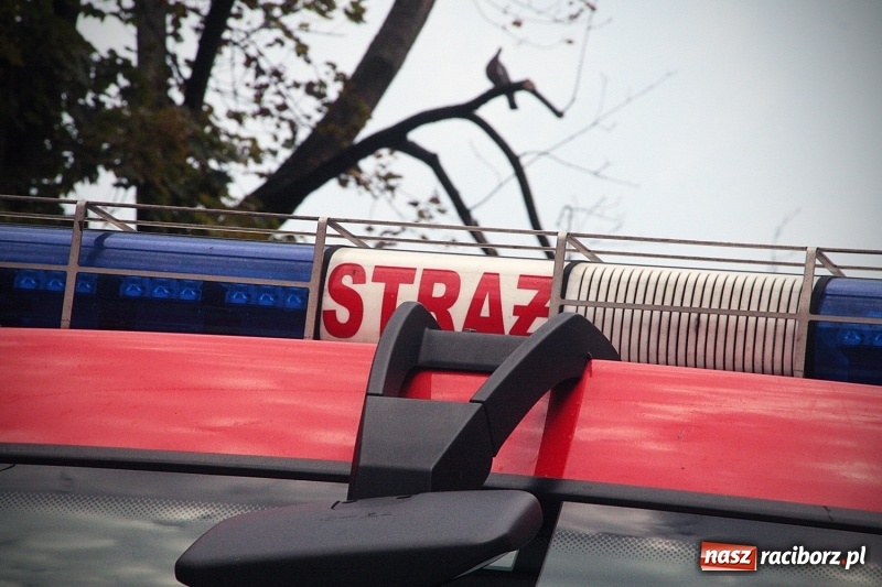 Zdjęcie w galerii na portalu naszraciborz.pl: Czad znowu zaatakował? Interwencja na Długiej  wiadomości z regionu