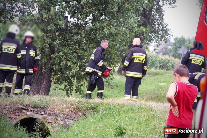 Zdjęcie w galerii na portalu naszraciborz.pl: Wypadł z drogi i dachował! Świadkowie zdarzenia udzielali pomocy poszkodowanemu wiadomości z regionu