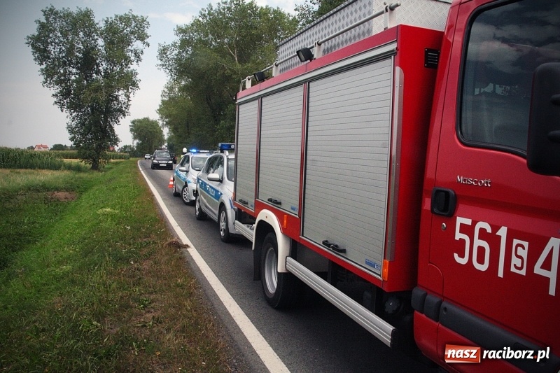 Zdjęcie w galerii na portalu naszraciborz.pl: Wypadł z drogi i dachował! Świadkowie zdarzenia udzielali pomocy poszkodowanemu wiadomości z regionu