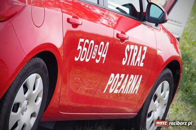 Zdjęcie w galerii na portalu naszraciborz.pl: Wypadł z drogi i dachował! Świadkowie zdarzenia udzielali pomocy poszkodowanemu wiadomości z regionu