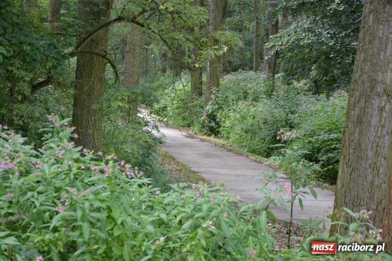 Zdjęcie w galerii na portalu naszraciborz.pl: Ponad 250 rowerzystów na trasie rajdu gminy Krzyżanowice i firmy Alas Utex wiadomości z regionu
