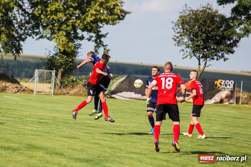 Zdjęcie w galerii na portalu naszraciborz.pl: Kolejny udany start Naprzodu Borucin wiadomości z regionu