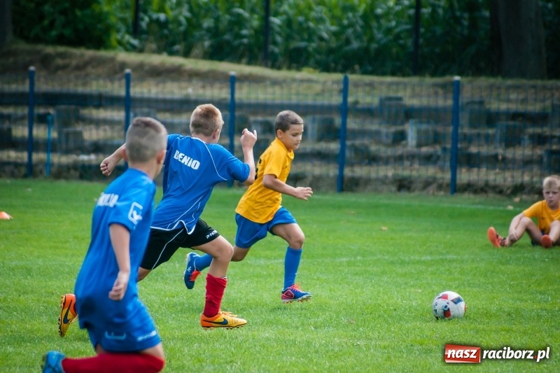 Zdjęcie w galerii na portalu naszraciborz.pl: Sportowy festyn w Krzanowicach za nami wiadomości z regionu