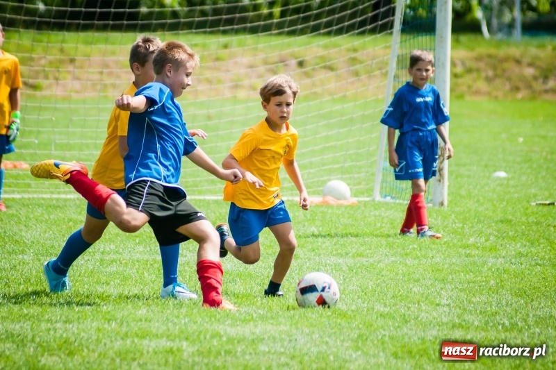 Zdjęcie w galerii na portalu naszraciborz.pl: Sportowy festyn w Krzanowicach za nami wiadomości z regionu