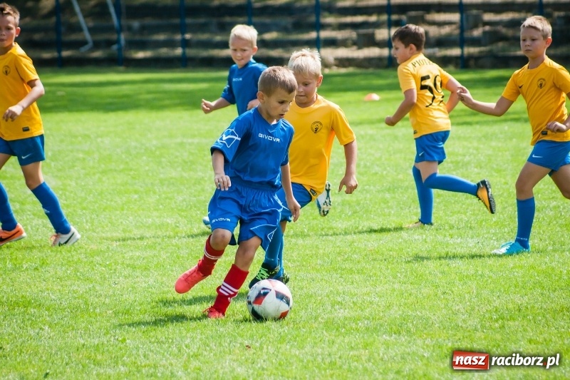 Zdjęcie w galerii na portalu naszraciborz.pl: Sportowy festyn w Krzanowicach za nami wiadomości z regionu