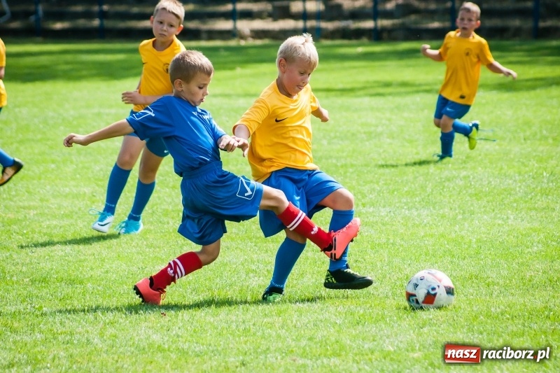 Zdjęcie w galerii na portalu naszraciborz.pl: Sportowy festyn w Krzanowicach za nami wiadomości z regionu
