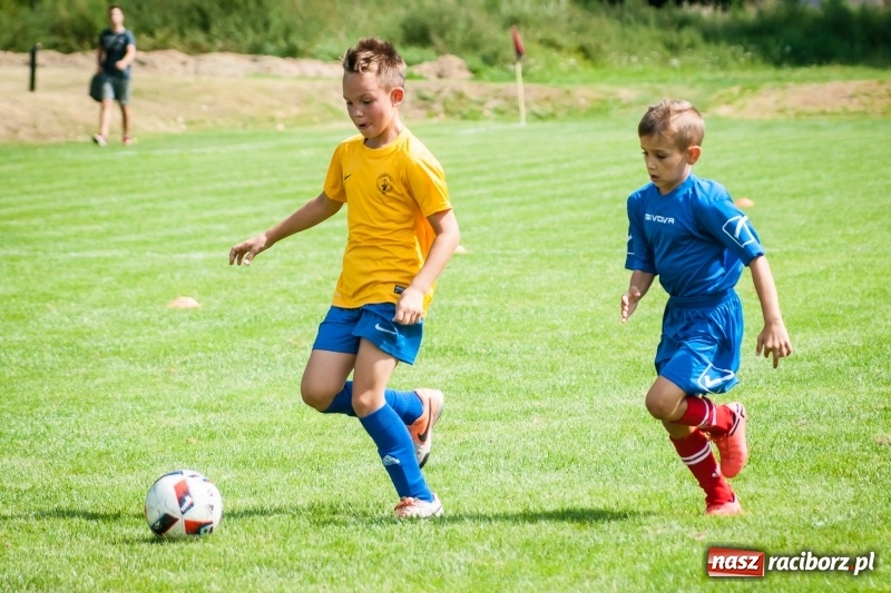 Zdjęcie w galerii na portalu naszraciborz.pl: Sportowy festyn w Krzanowicach za nami wiadomości z regionu