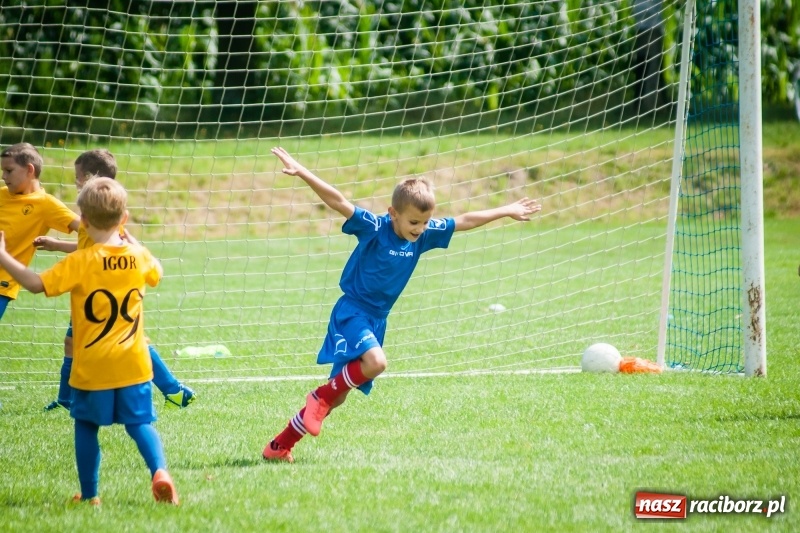 Zdjęcie w galerii na portalu naszraciborz.pl: Sportowy festyn w Krzanowicach za nami wiadomości z regionu