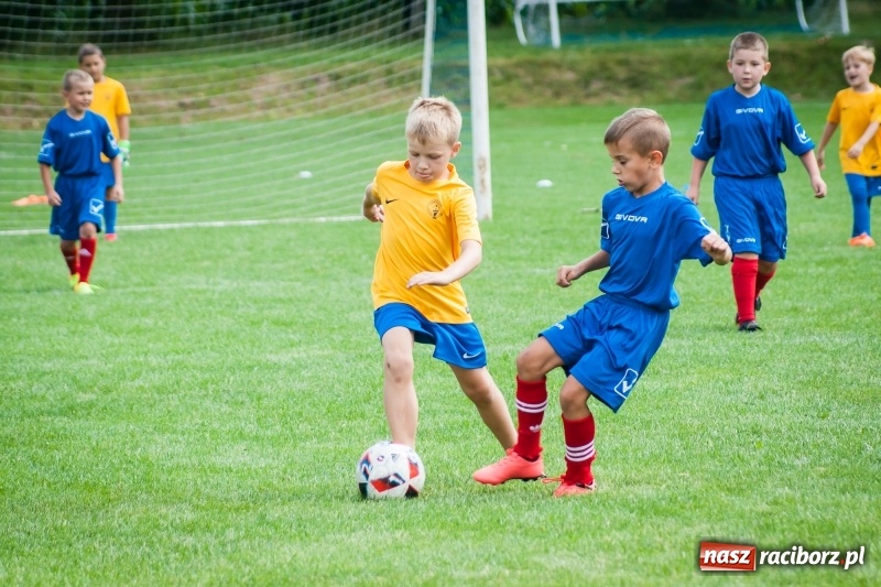 Zdjęcie w galerii na portalu naszraciborz.pl: Sportowy festyn w Krzanowicach za nami wiadomości z regionu
