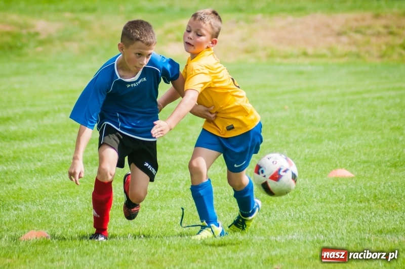 Zdjęcie w galerii na portalu naszraciborz.pl: Sportowy festyn w Krzanowicach za nami wiadomości z regionu